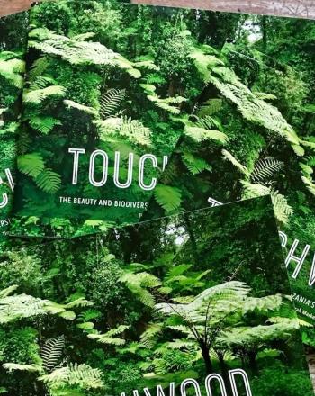 Four Touchwood hardcopy books on table (forest image as cover).