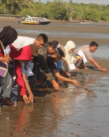 Group of people standing along shore, bending down to release sea turtle hatchlings.