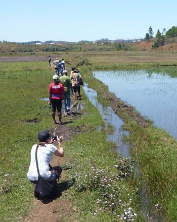 People walking along wetlands, one woman taking a photograph.