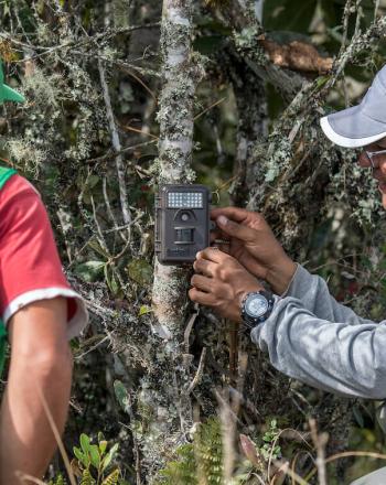 Two men check camera trap on tree.