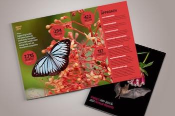 Brightly colored pages from publication including flowers and a butterfly.