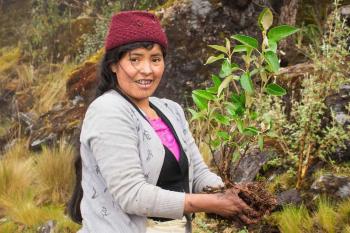 Woman holds plant while standing in grassy habitat.