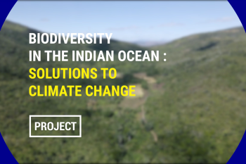 Biodiversidad en Madagascar y las islas del Océano Índico: soluciones al cambio climático