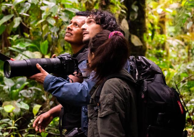 Two men and one woman in forest, looking up. One man holds camera with long lens.