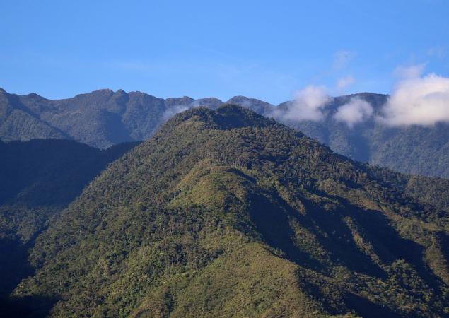 Cimas de montañas muy boscosas con nubes flotando por encima.