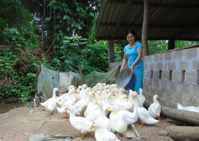 Women smiles while feeding a couple dozen ducks.