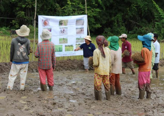 Group of people standing in mud, one presents at large poster.