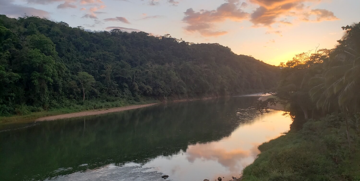 River surrounded by lush trees, either sunset or sunrise.