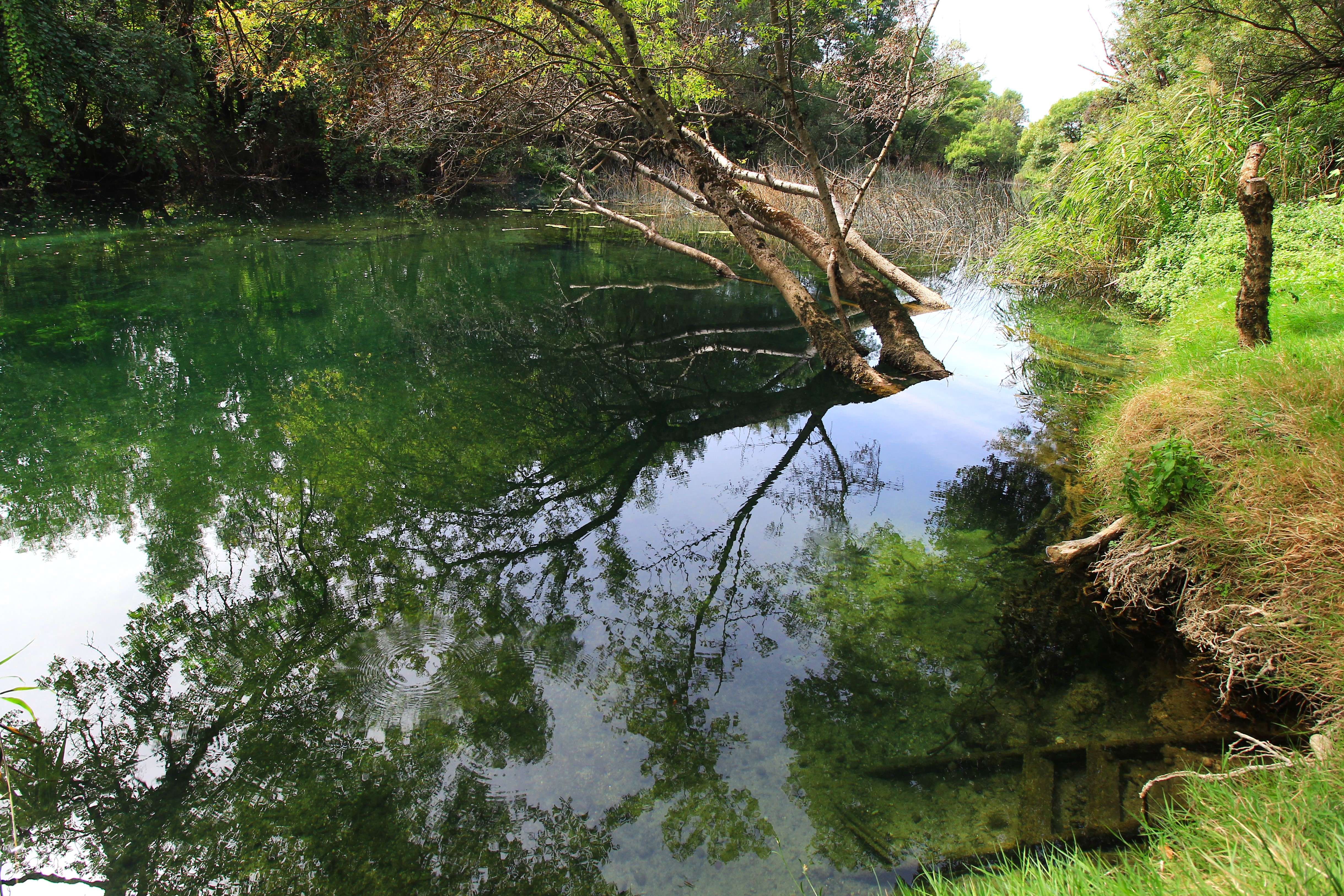 Trebižat river in Bosnia and Herzegovina.