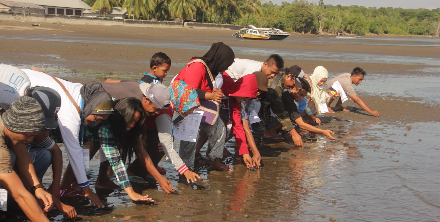 Group of people standing along shore, bending down to release sea turtle hatchlings.