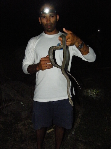 Vikash avec une lampe frontale tenant un serpent la nuit.