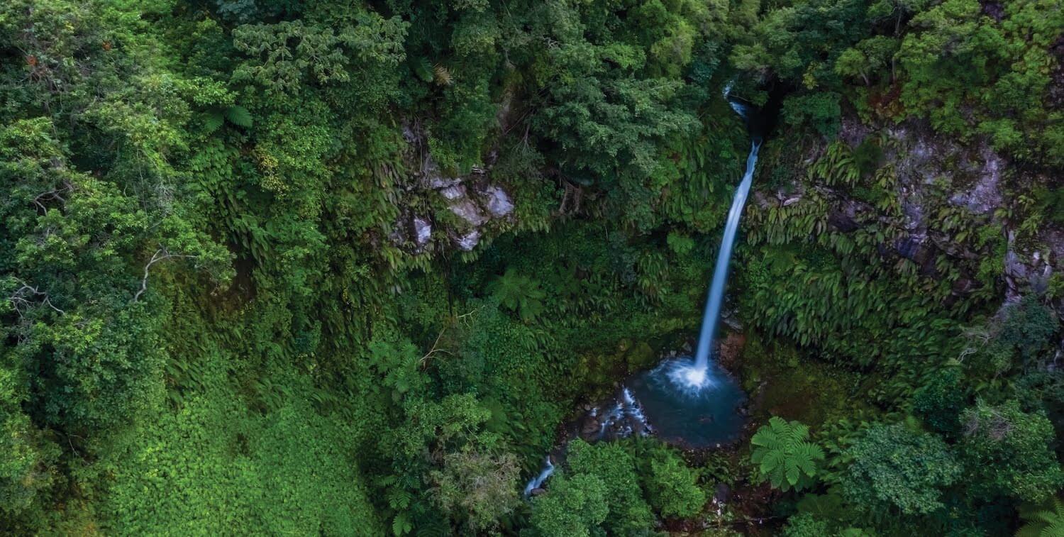 Aerial view of lush forest with waterfall.