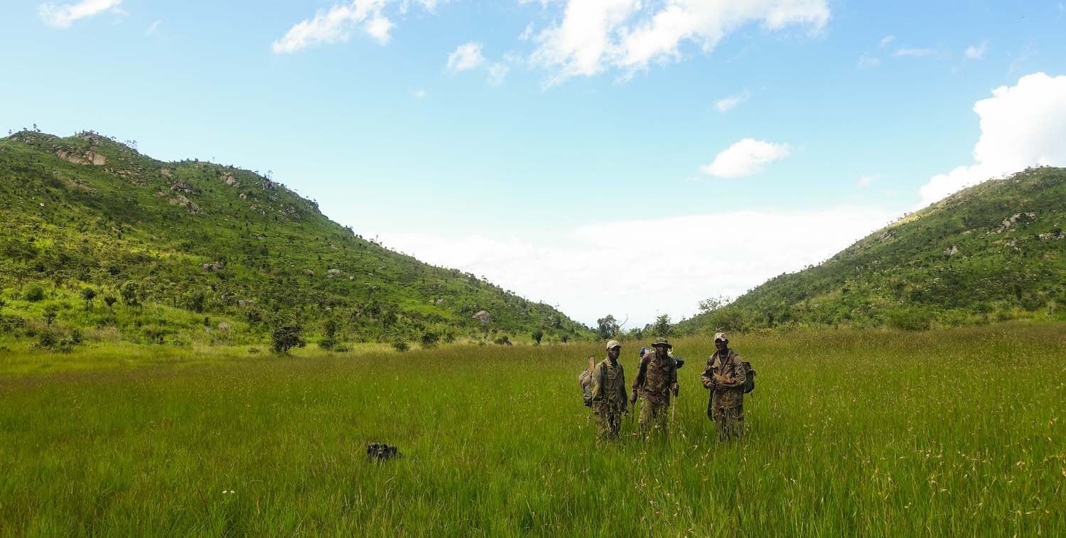 3 forest guards standing in field, large hills and blue sky in background.