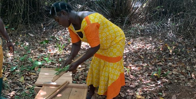 Empowering local women in conservation through beekeeping initiatives. Cape Three Point Forest buffer area, Ghana.