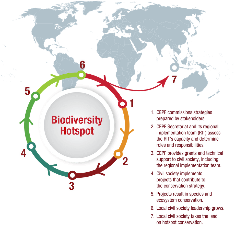 CEPFが投資する生物多様性ホットスポットごとに、CEPFは、地元の利害関係者や他の専門家からの意見を基に作成された「生態系プロファイル」と呼ばれる分析および保全戦略を委託します。
