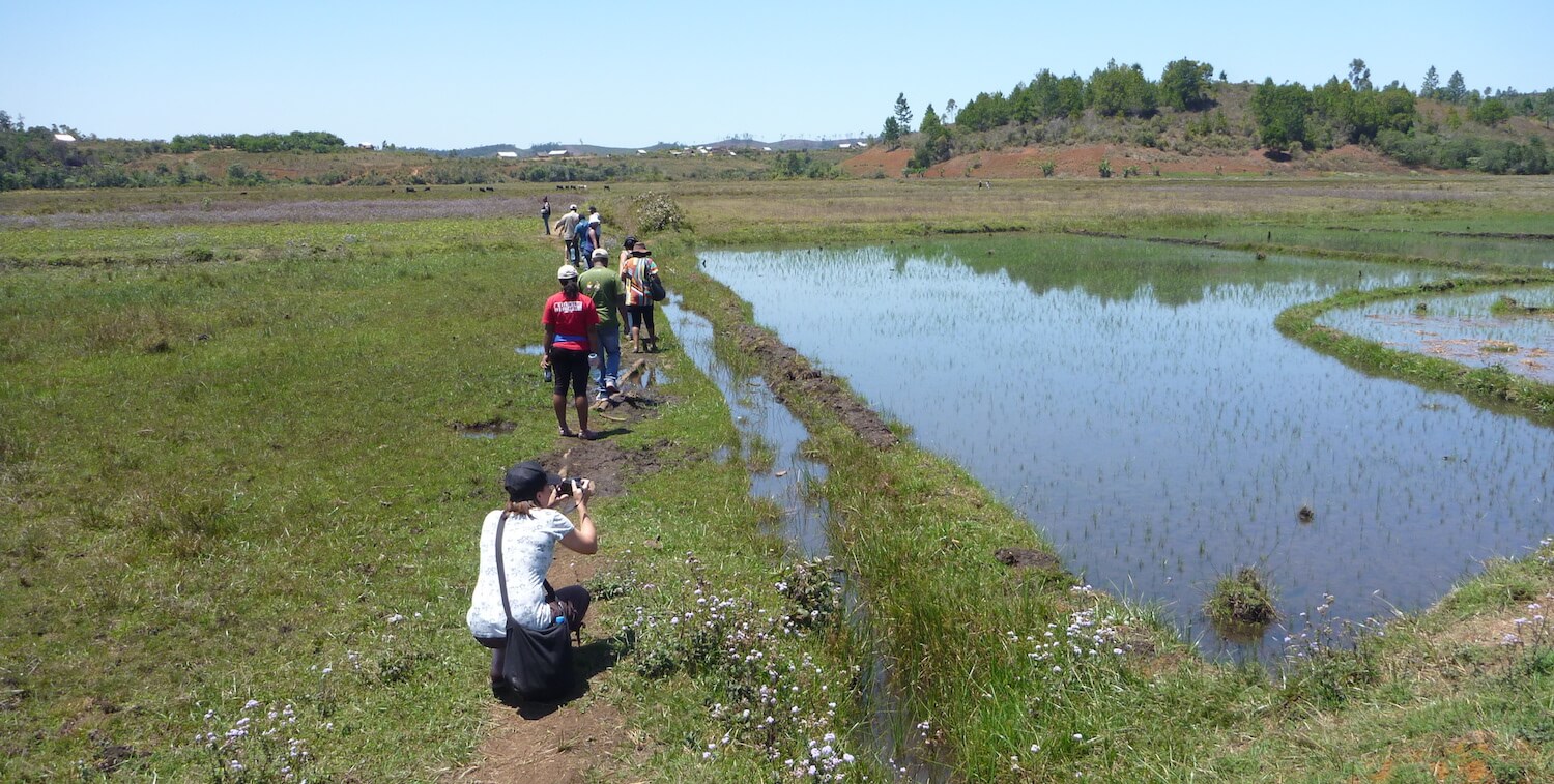 People walking along wetlands, one woman taking a photograph.